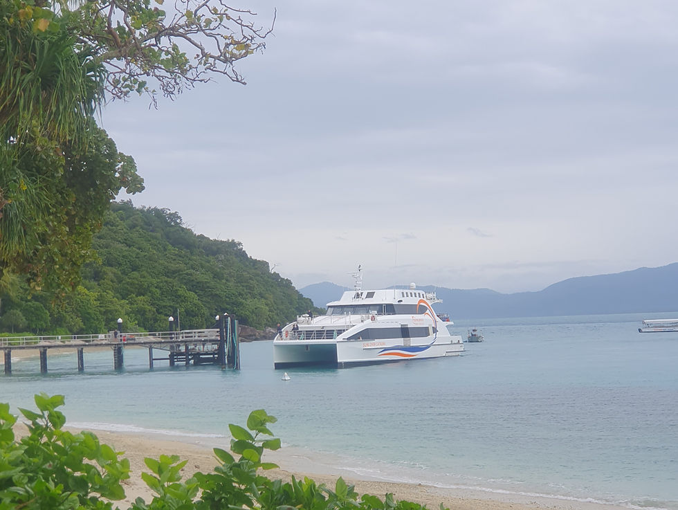 bot pulling up to Fitzroy Island pier