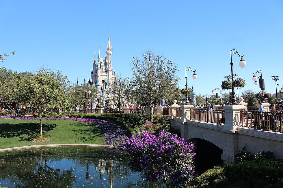 A photo of magic kingdom located at Disney World Resort Orlando