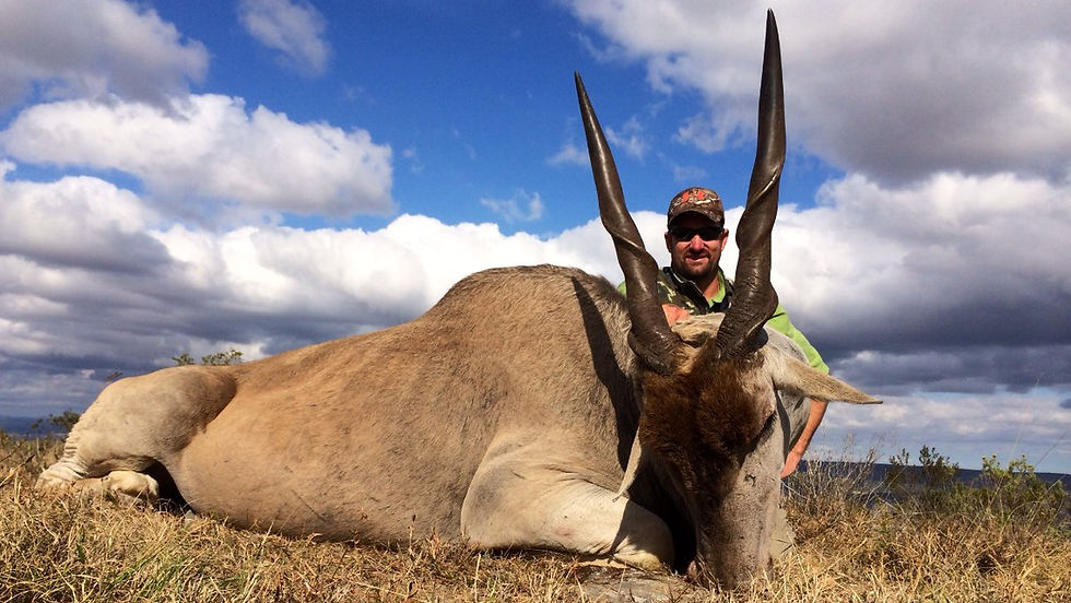 Hunting "Spiral Horns"