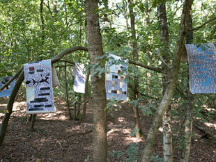 Paintings hanging in the trees of a forest