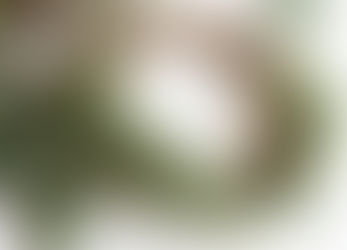 DIY Christmas Grapevine Wreath