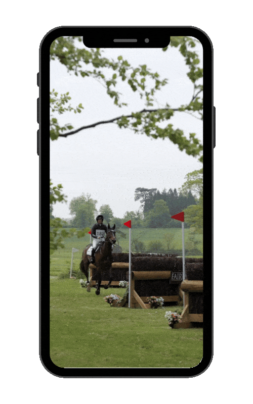 Tom Rowland GIF (2) (1).gif