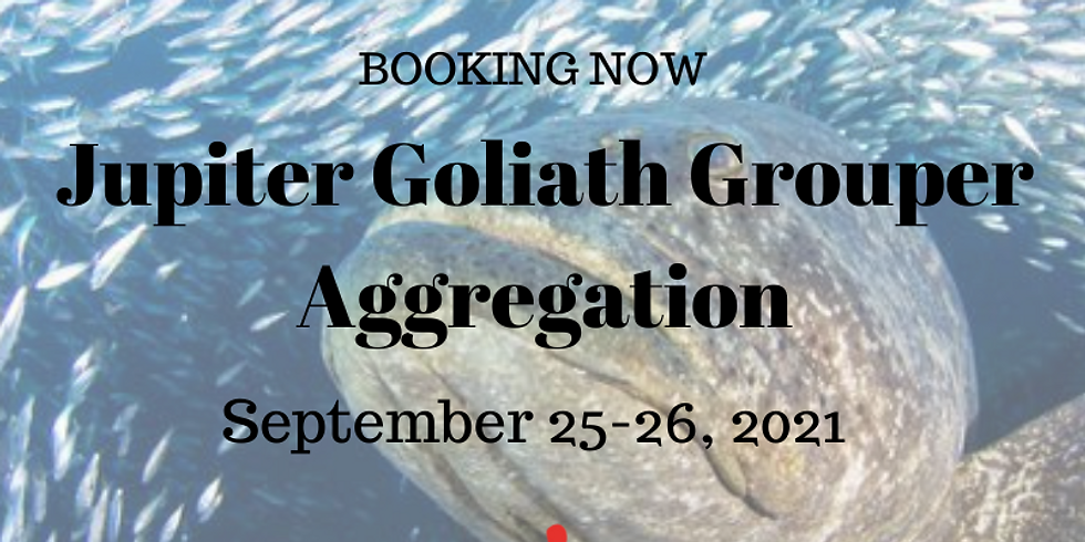 Jupiter Goliath Grouper Aggregation September 25-26, 2021