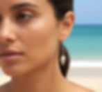 Rissoa Shell & Polished 316 Stainless Steel Drop Earrings