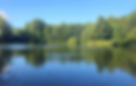 coarse lake 7.png