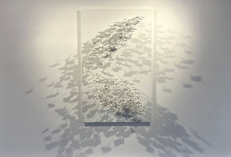Murmuration #27, 2023