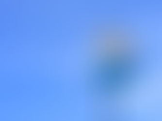 オーディション合格後は、どうなる?