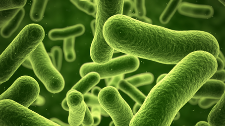 Preservatives in cosmetic formulation: How to use them safely and properly