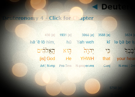 trinity_edited_edited_edited.jpg