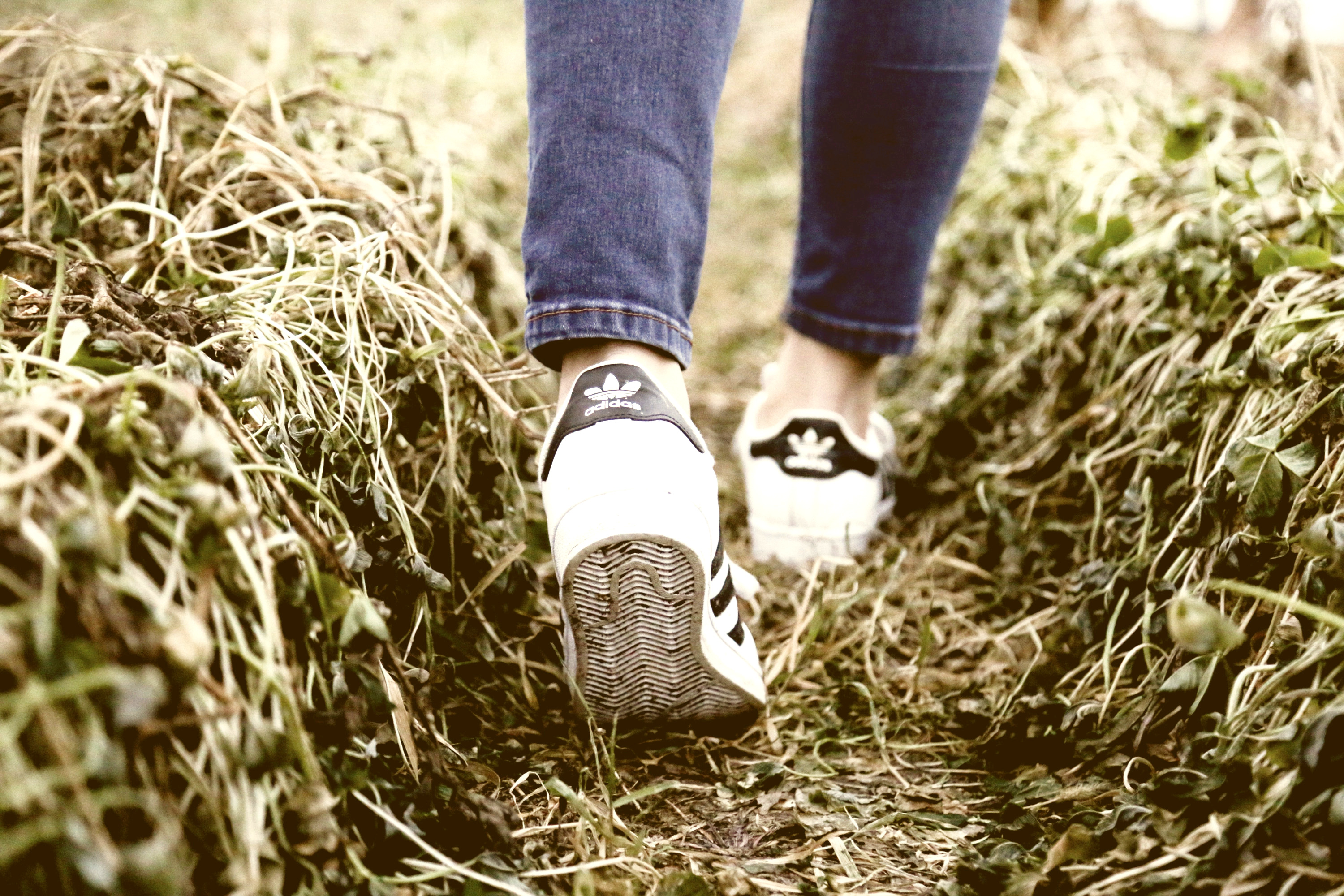 woman's sneaker-clad feet walking on grassy path
