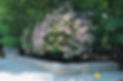 DSC_1842_edited.jpg