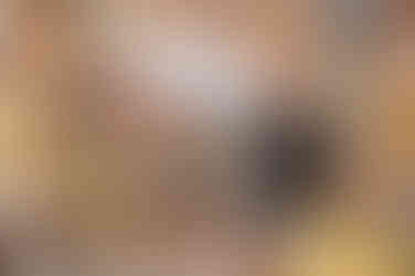 The son of the founders of Mauro Builders, continuing the family legacy by working hands-on at a construction site.