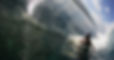 IN4F0194_edited.jpg