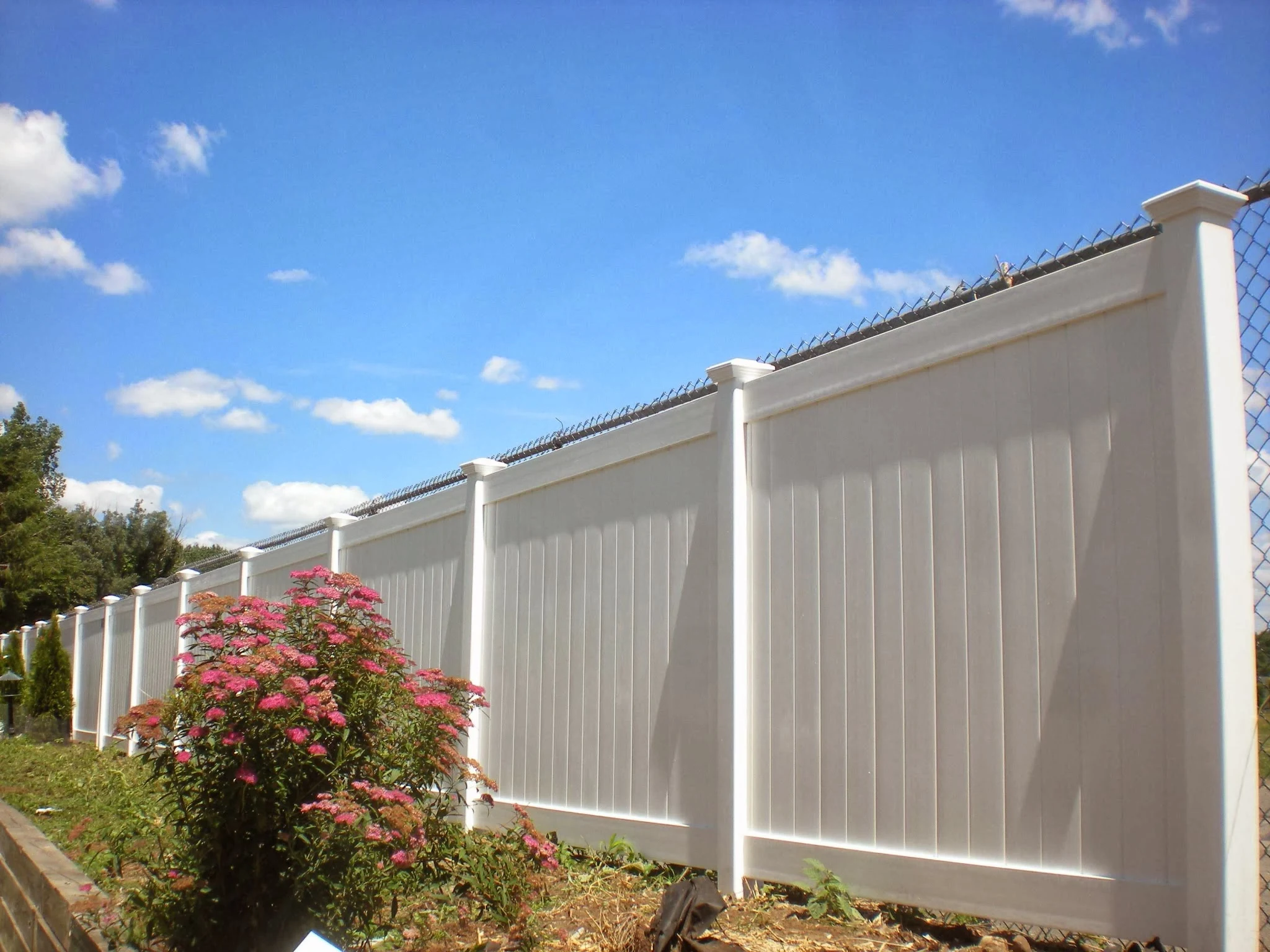 fence.webp
