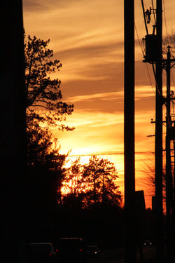 FOR SALE, around town pics Mar 2014 326