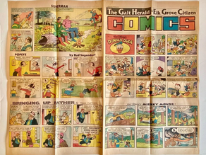 1984 Galt Herald/Elk Grove Sunday Page