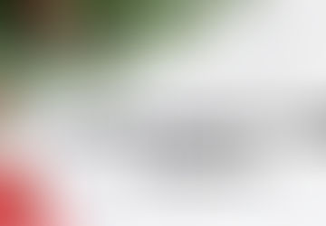 HR Insights for this Christmas