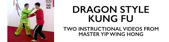 Dragon Style Kung Fu