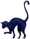 Cat illustré