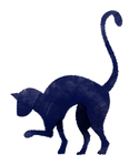 Иллюстрированный Cat
