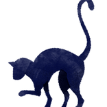 Illustrated Cat