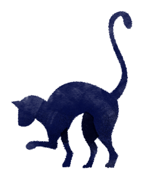 Illustrated Cat