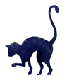 ilustrovaný Cat