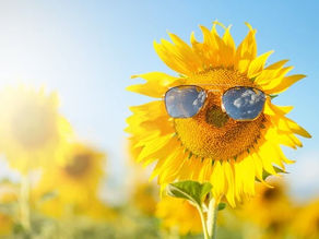 阿卡西紀錄 - 學員J 分享