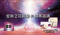 生命之花能量卡 ~ 個案諮詢(細) 22-7-19_工作區域 1.jpg