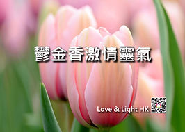 鬱金香激情靈氣 Website (細) banner 22-2-19-01.j