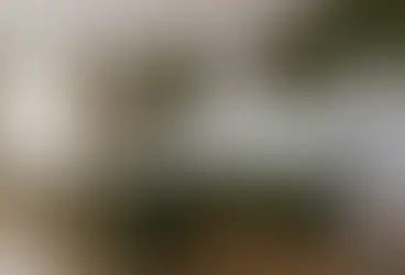 Tendência de cores nos armários para cozinha