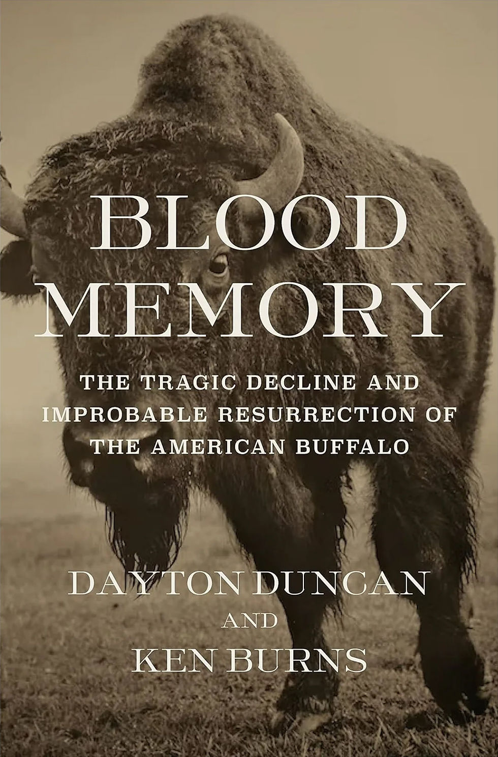 BLOOD MEMORY: THE TRAGIC DECLINE AND IMPROBABLE RESURRECTION OF THE AMERICAN BUFFALO / DAYTON DUNCAN & KEN BURNS