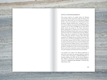Notes & Acknowledgements spread from In the Bewilderment