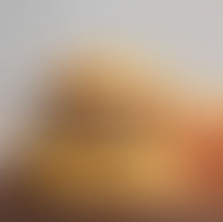 ¿por que las hamburguesas con birria son de sabor unico? 