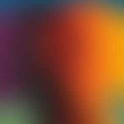 The Brain’s Emotional Landscape