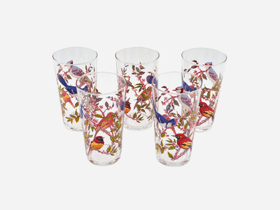 Vintage Luminarc French Glass Tumblers Bird Design, Set of 5