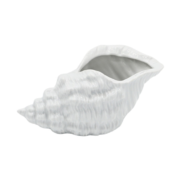 Japanese Decorative Sea Shell