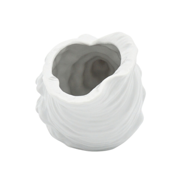 Japanese Decorative Sea Shell