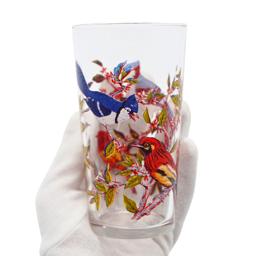 Vintage Luminarc French Glass Tumblers Bird Design, Set of 5