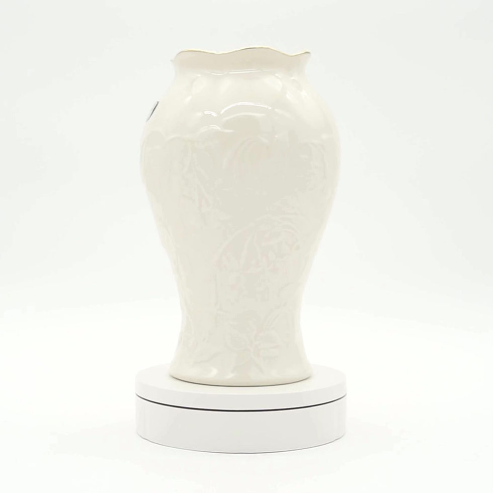 Vintage Donegal Parian China and Michael Cassidy Vase