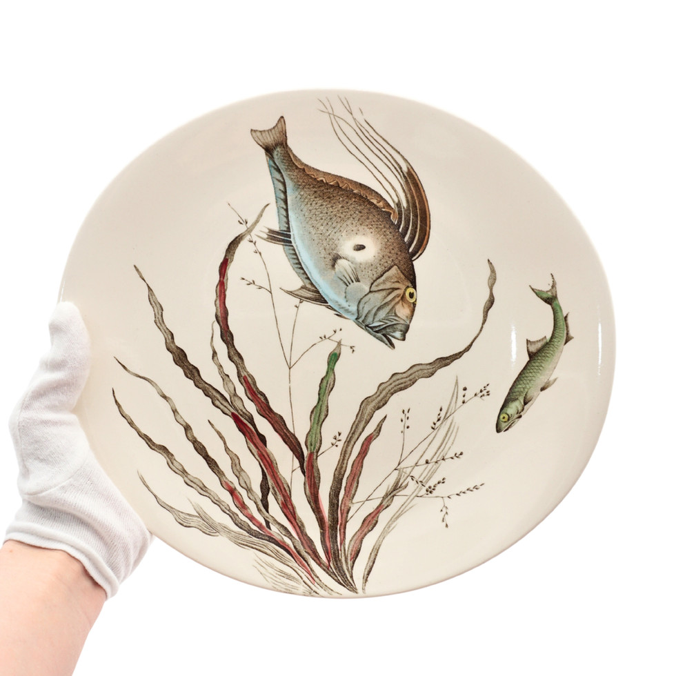 Vintage Johnson Brothers Fish Themed Tableware Set, 14 Pieces