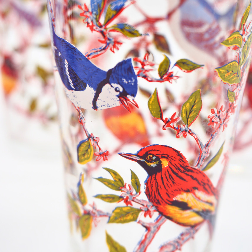 Vintage Luminarc French Glass Tumblers Bird Design, Set of 5