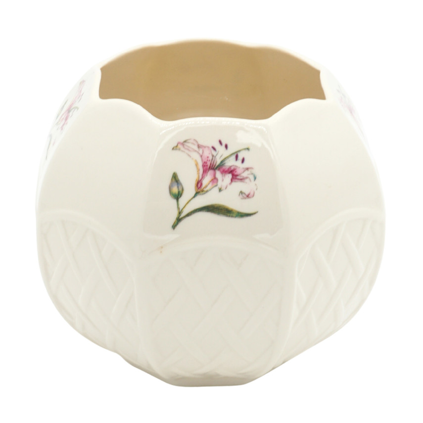 Vintage Belleek Country Trellis Bone China Bowl