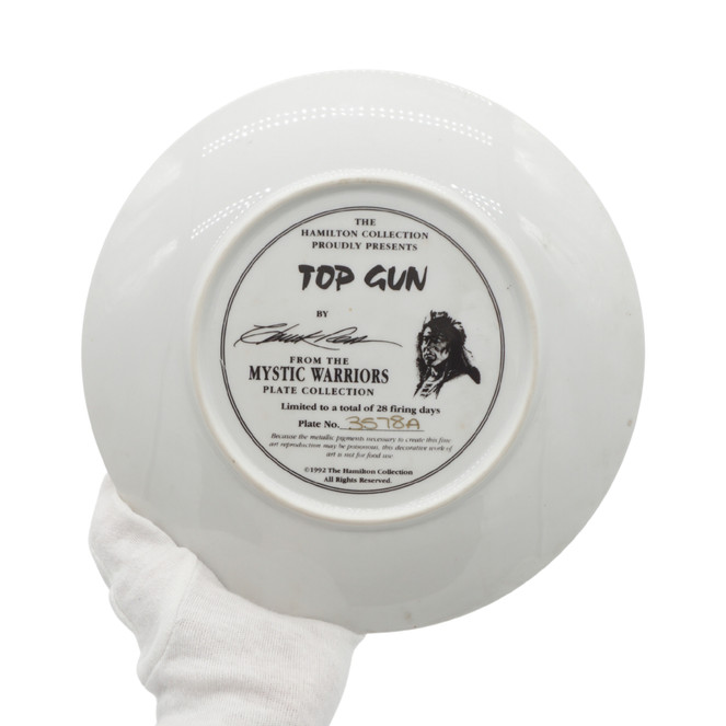 Mystic Warriors Top Gun Plate By Chuck Ren, 1992