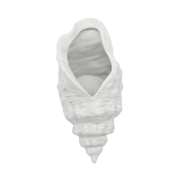 Japanese Decorative Sea Shell