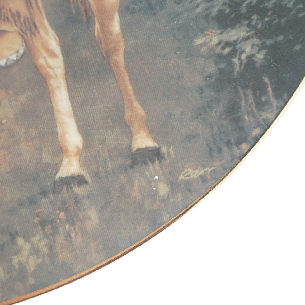 The Hamilton Collection Mystic Warriors Deliverance By Chuck Ren Plate