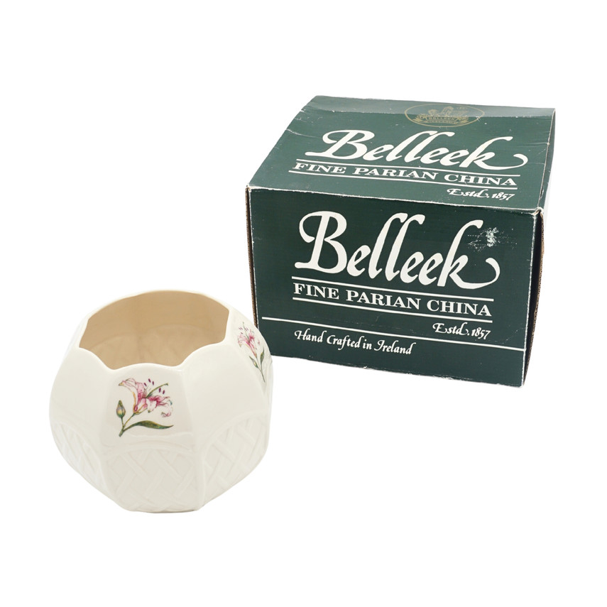 Vintage Belleek Country Trellis Bone China Bowl