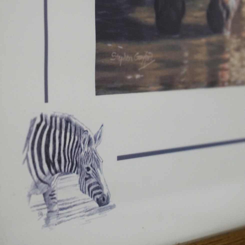 Limited Edition Zebra Print, Thirsty Travellers by Stephen Gayford