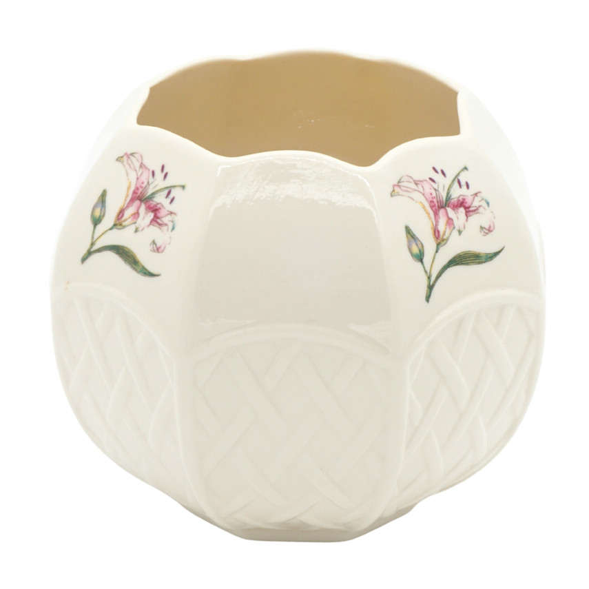 Vintage Belleek Country Trellis Bone China Bowl