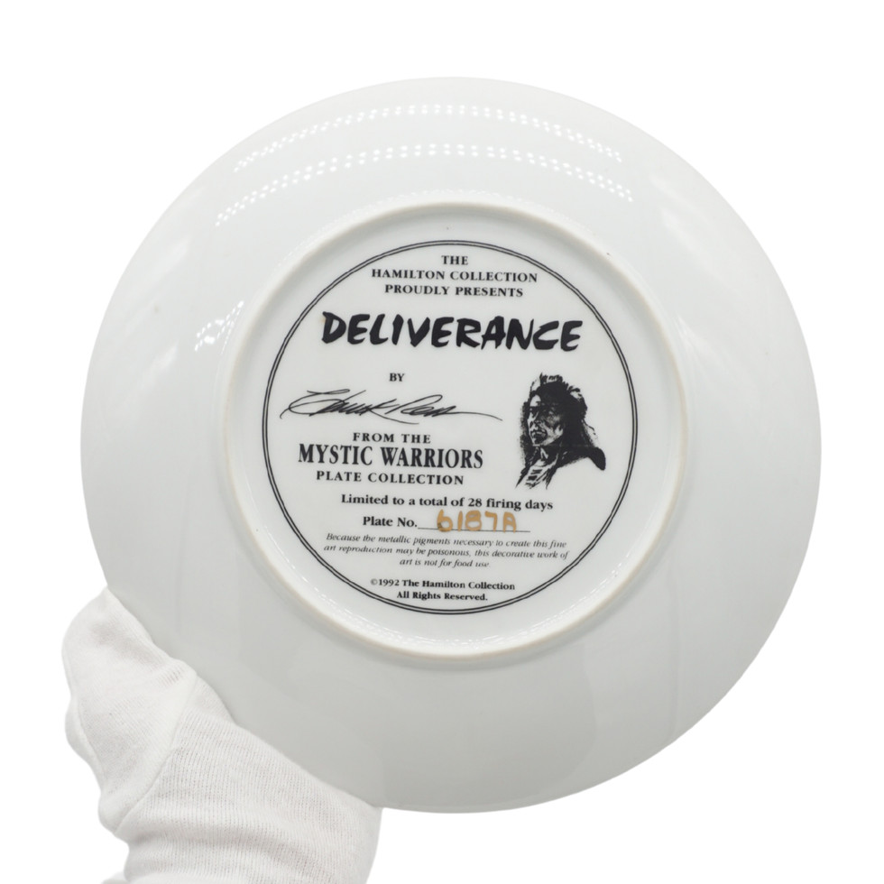 The Hamilton Collection Mystic Warriors Deliverance By Chuck Ren Plate